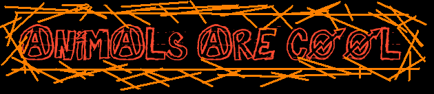animalbanner.gif
