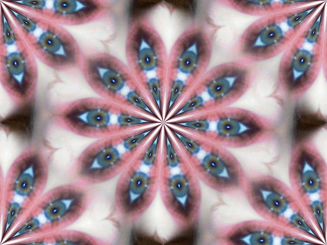 eyes.jpg