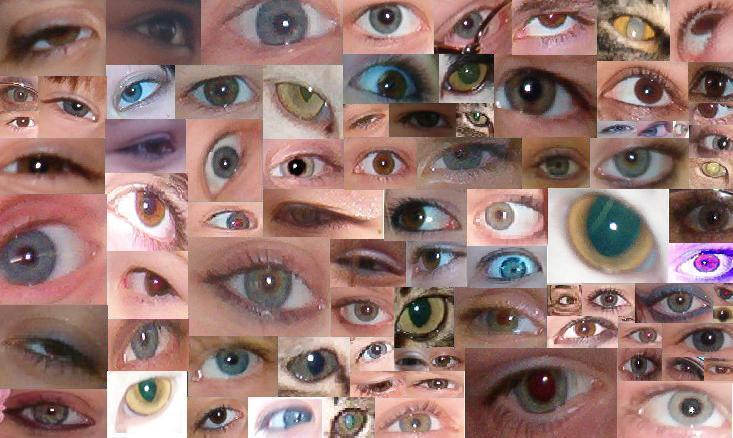 eyez.jpg