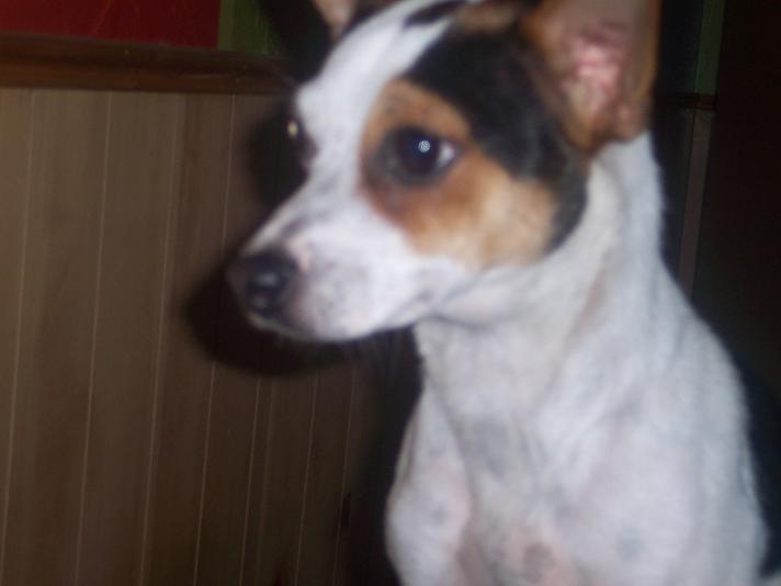 lola.jpg